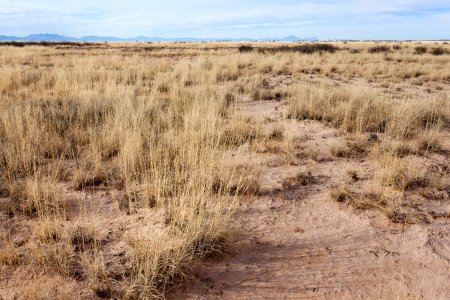 North-northeast of Twin Buttes