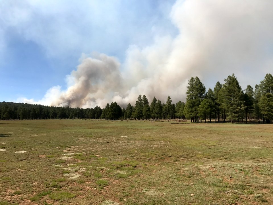 Snake Ridge Fire (May 27, 2017)