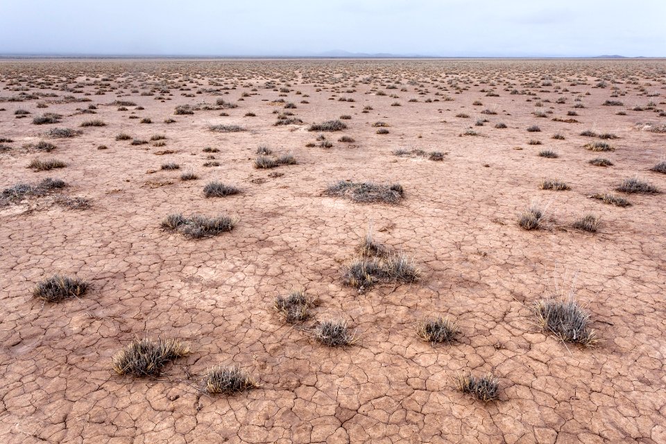 Third Lordsburg Playa