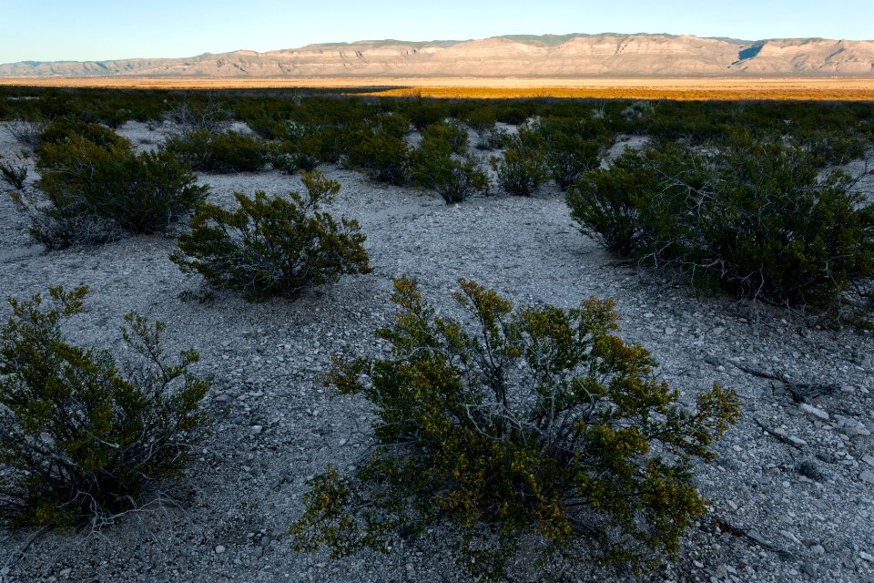 East base of Lone Butte