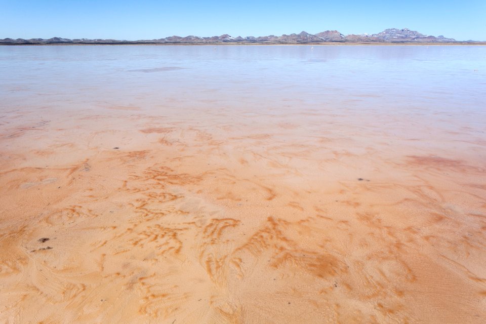 Lordsburg Playa