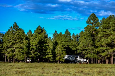 Pine Grove Campground