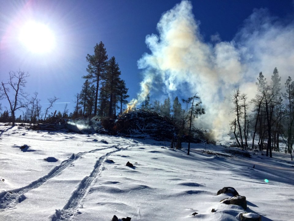 Pile burning slash from a timber sale