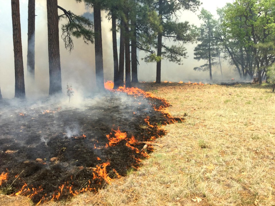 Jack Fire (June 6, 2016)