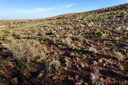 Eastern foothills of the Cedar Mountains photo