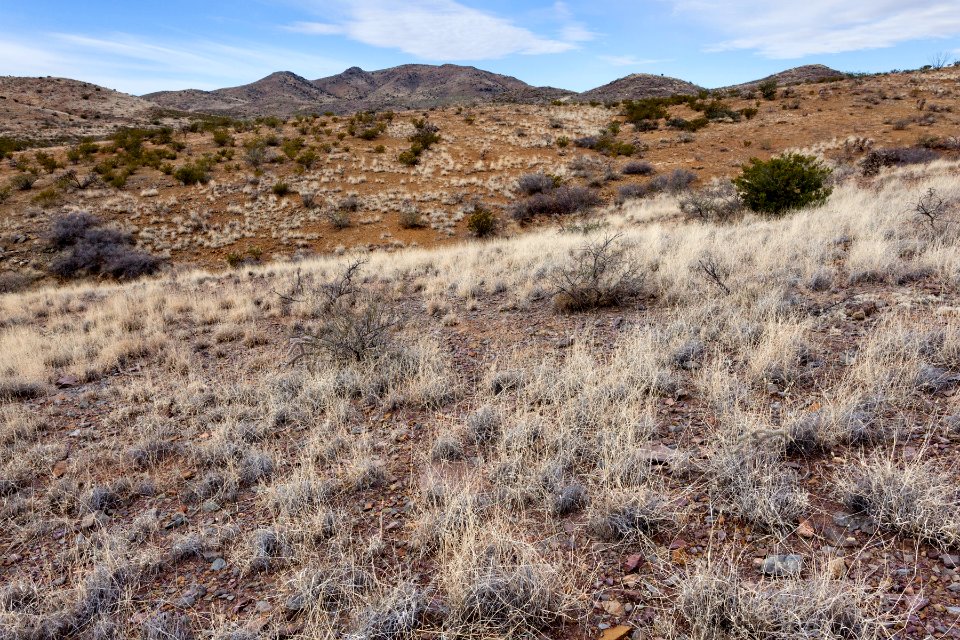 East of Attorney Mountain