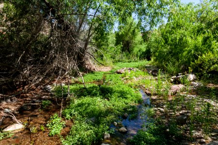 Percha Creek