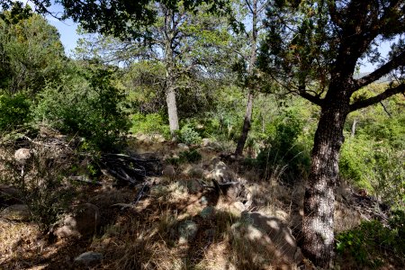 Pinos Altos Mountains