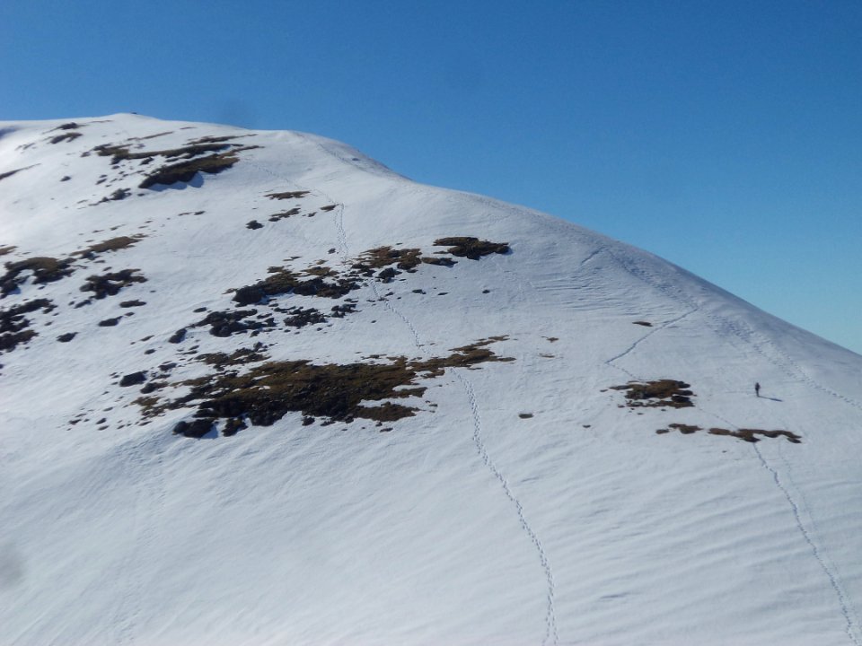 Trailbreaker on Ben Oss