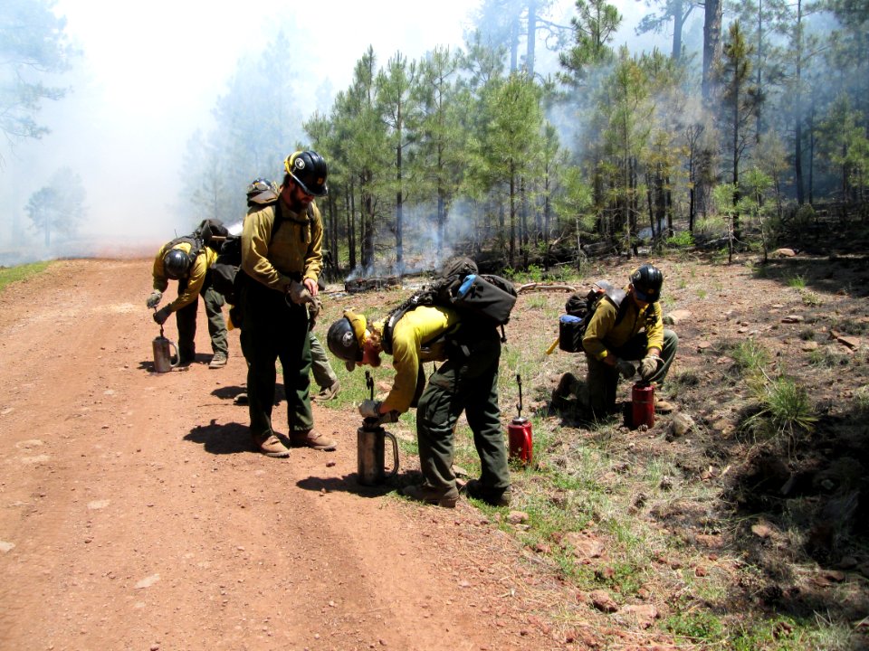 Camillo Fire 2015-06-22: Burnout Operations