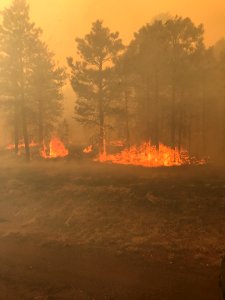 Eastside Project (April 19, 2017)