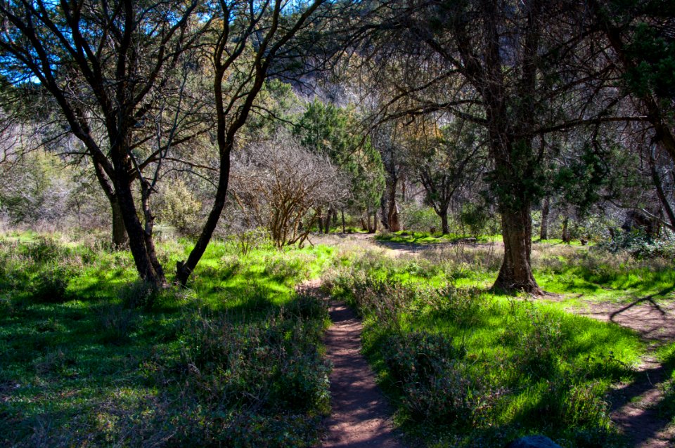 Fossil Springs Trail No. 18