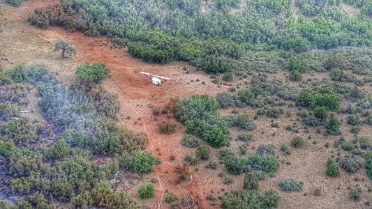 Point Fire (July 24, 2016)