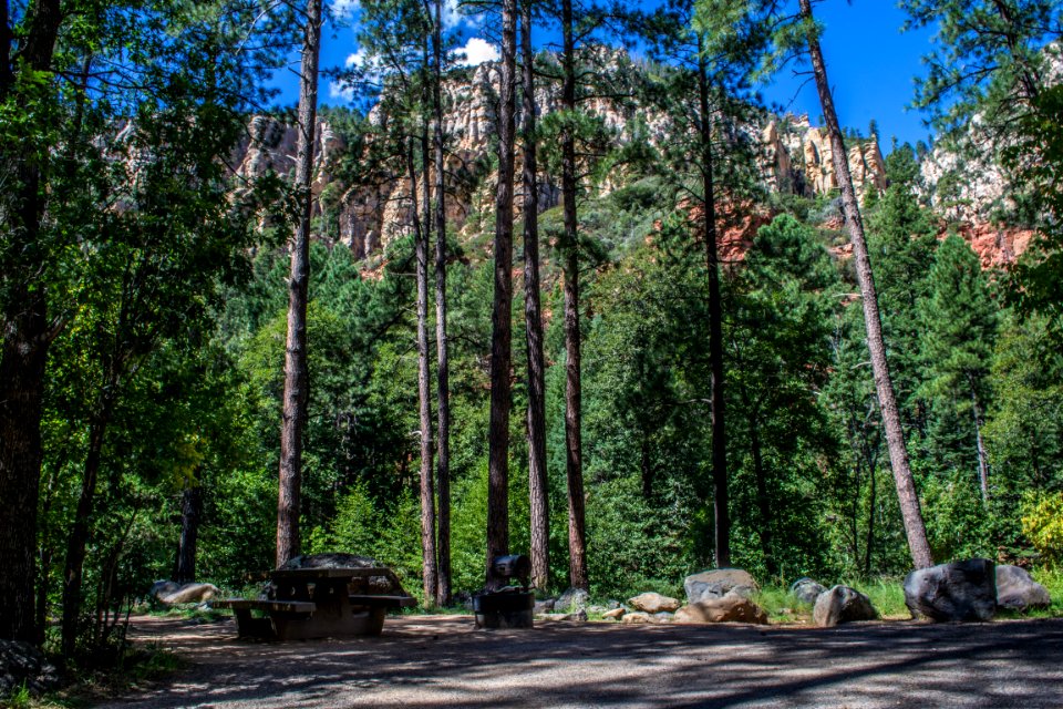 Pine Flat Campground