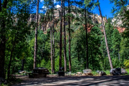 Pine Flat Campground