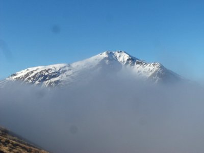 Ben Lui emerges photo