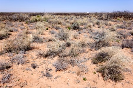 East-northeast of Daley Lake