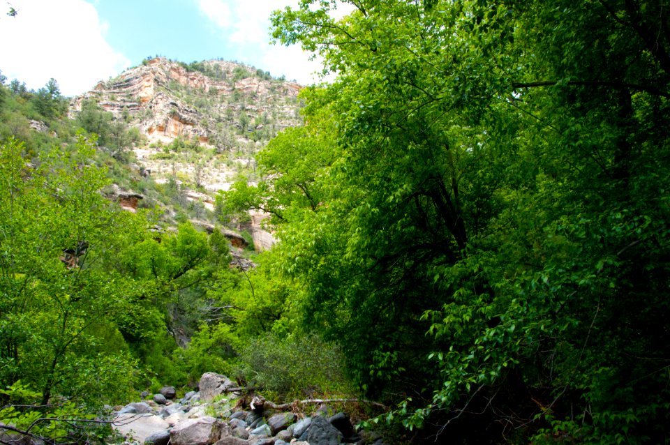 Little L.O. Trail No. 6