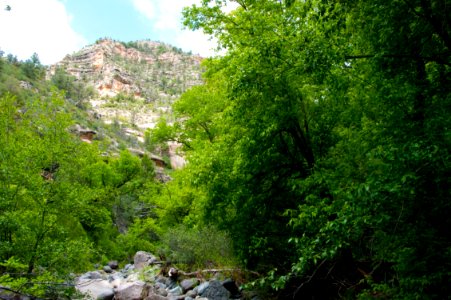 Little L.O. Trail No. 6