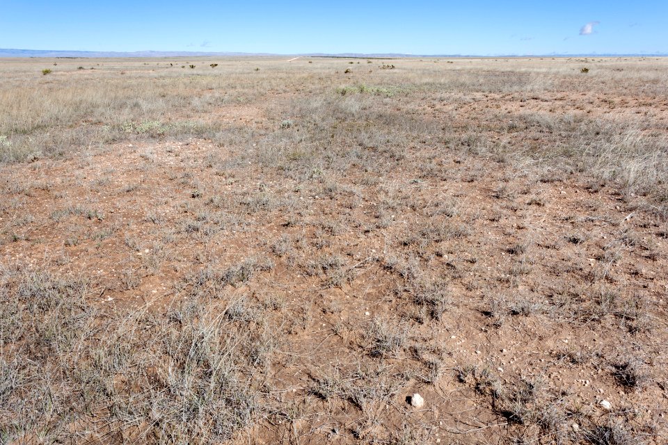 Otero Mesa