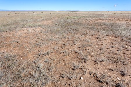 Otero Mesa