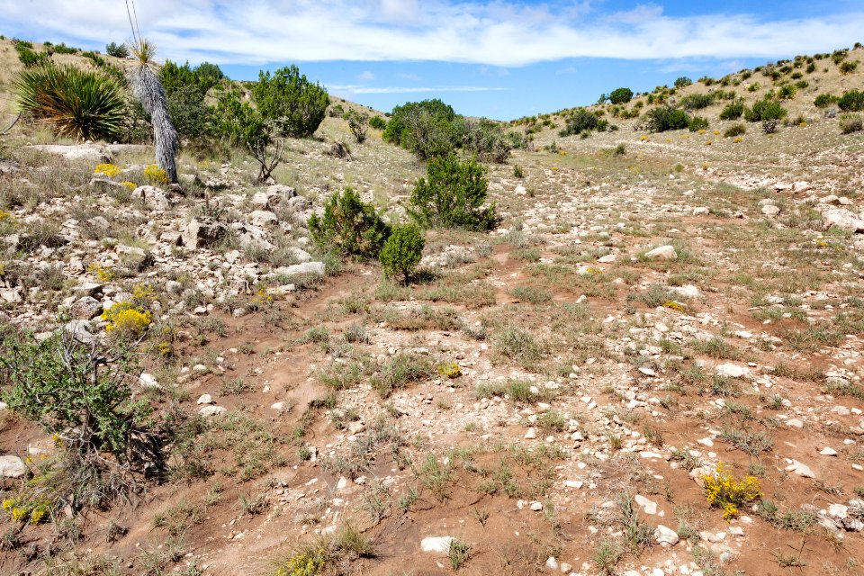 Northeast of George Draw