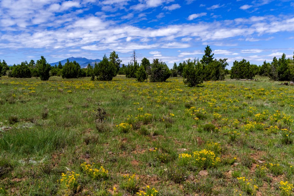 Arizona Trail: Anderson Mesa AZT-30
