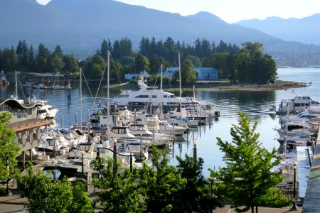 Coal Harbour, Vancouver photo