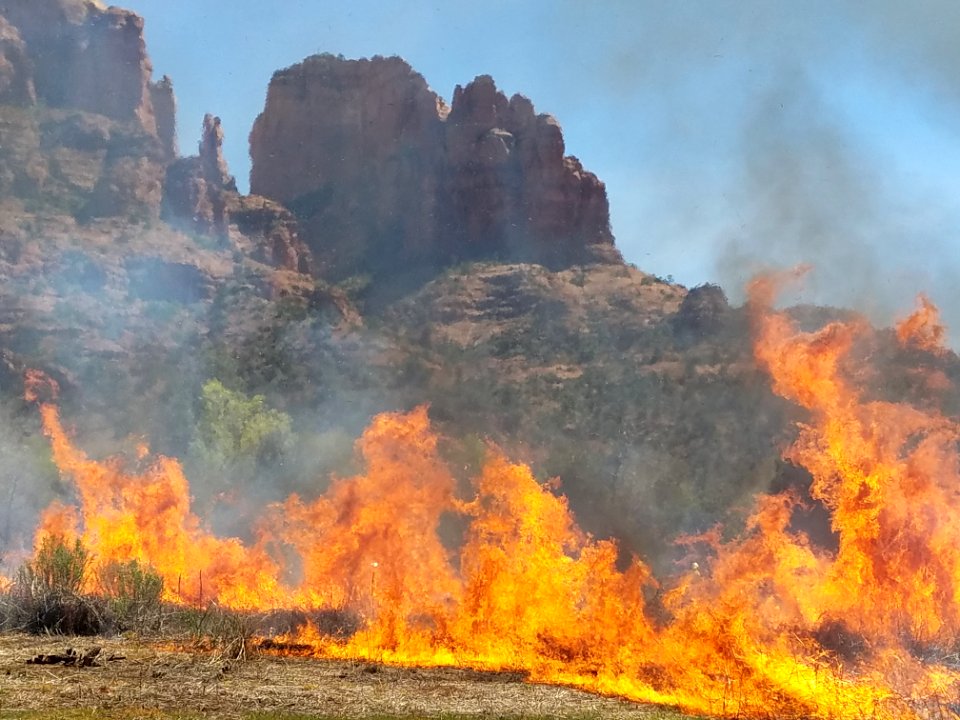 Wildland Fire Training at Crescent Moon