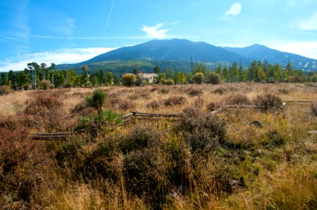 Around the Peaks Loop: Hart Prarie Road