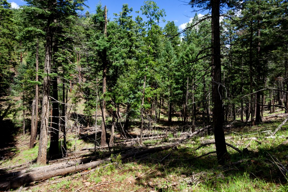 Trap Corral Canyon
