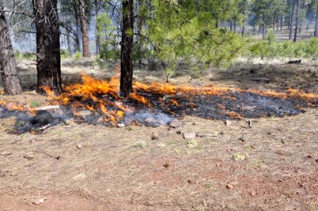 Woody Ridge Rx Burn 4-7-16