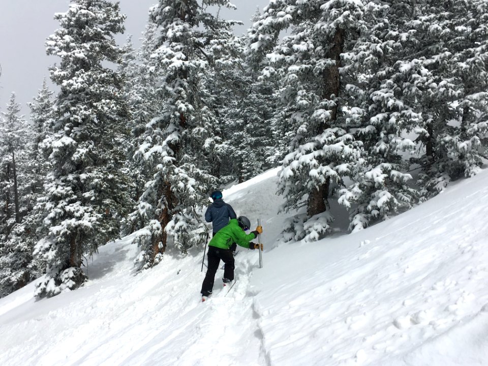 San Francisco Peaks Snow Survey