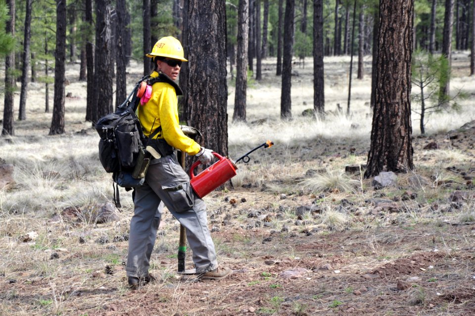 Woody Ridge Rx Burn 4-7-16