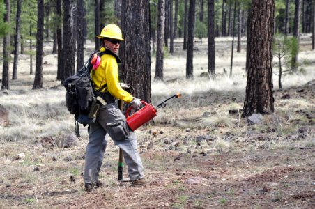 Woody Ridge Rx Burn 4-7-16