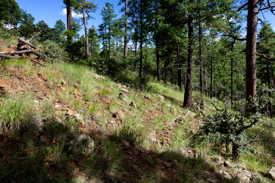 Trap Corral Canyon