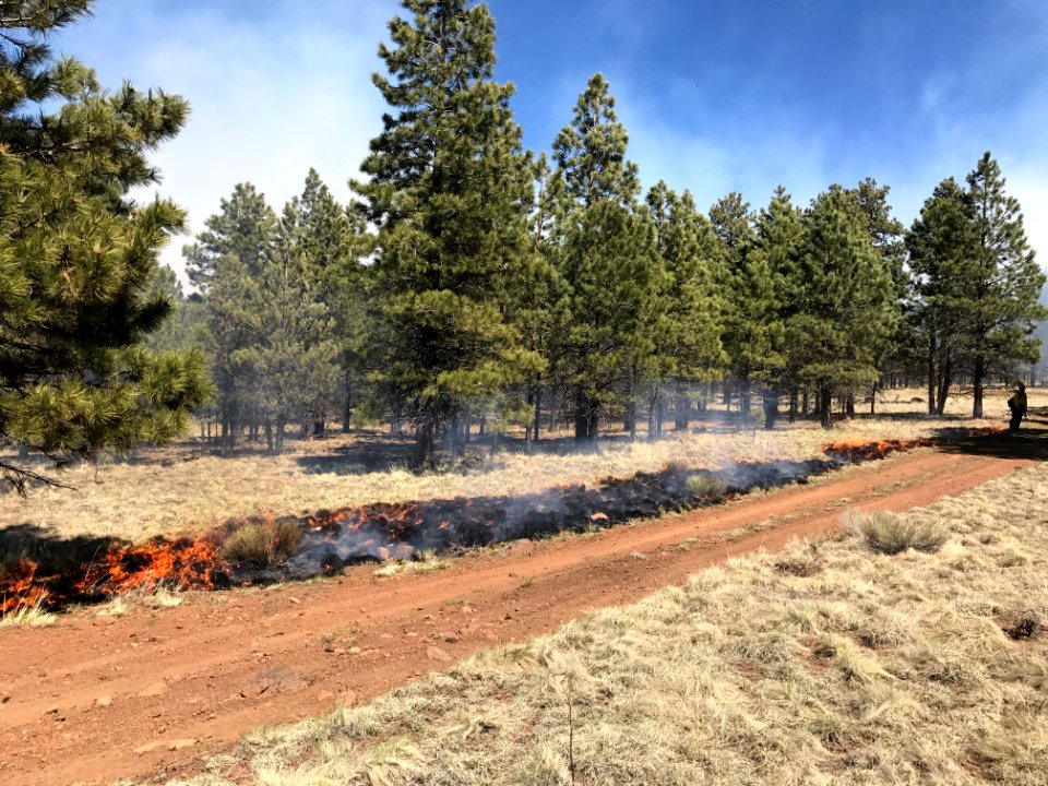 Horseshoe Prescribed Burn (April 20, 2017)
