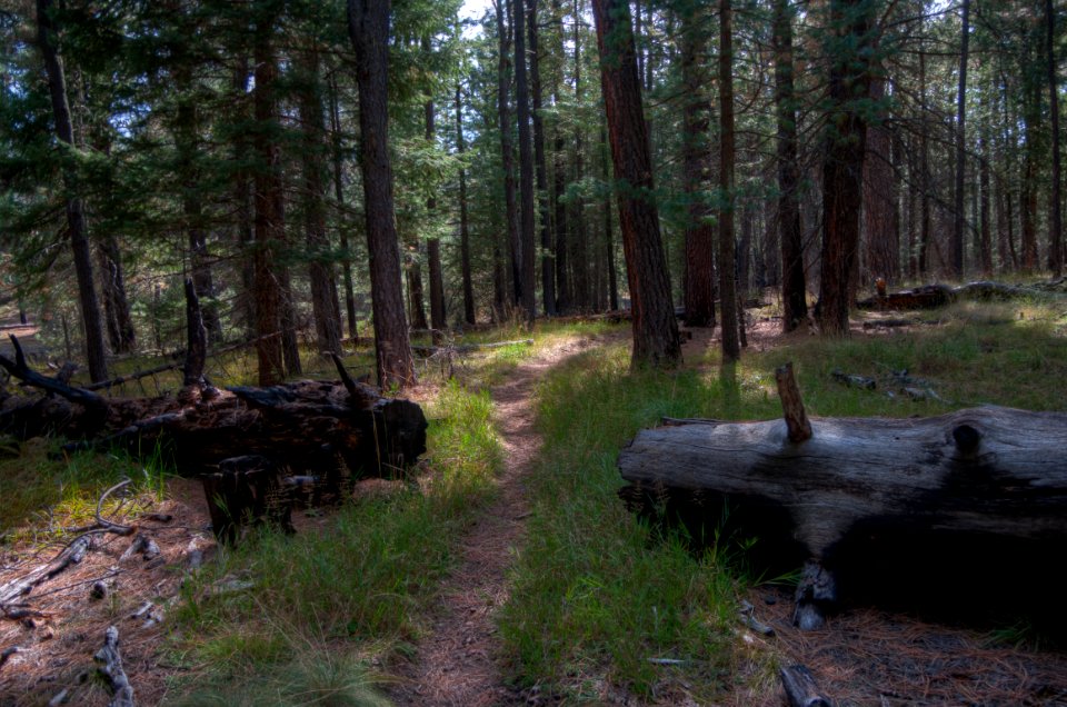 Fred Haught Trail #141
