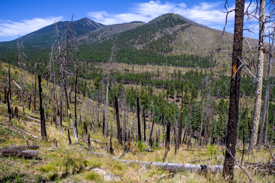 Little Bear Trail Work Day (September 10, 2016)