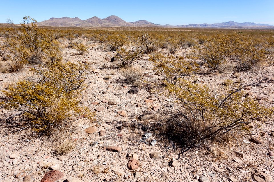 Northeast of Flat Hill
