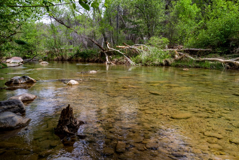 Purple Mountain on Fossil Creek