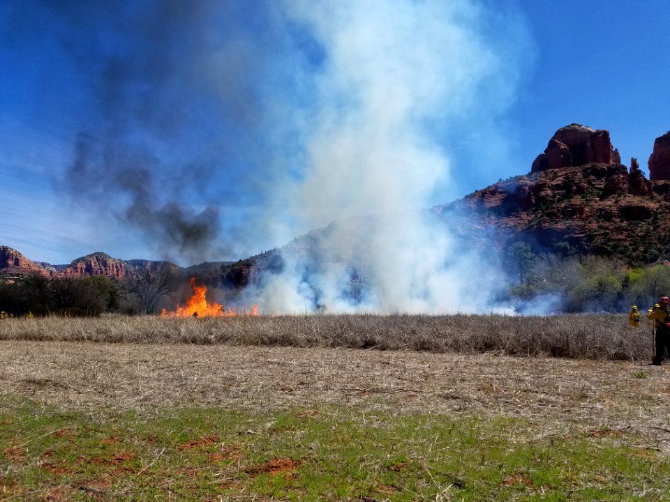 Wildland Fire Training at Crescent Moon