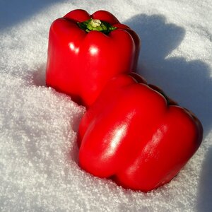 Healthy food vitamins