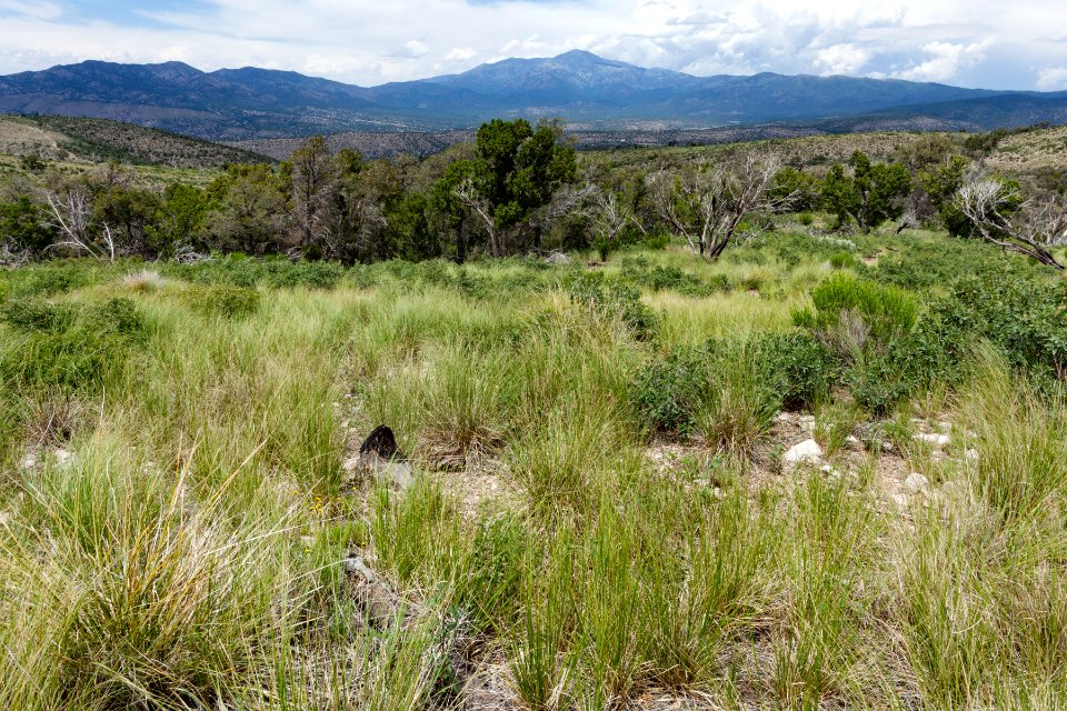 East of Cat Mountain