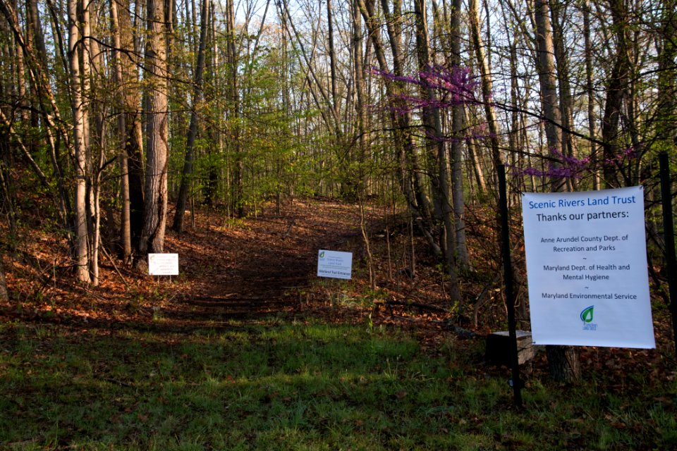 2018 Walk for the Woods Bacon Ridge Natural Area 019
