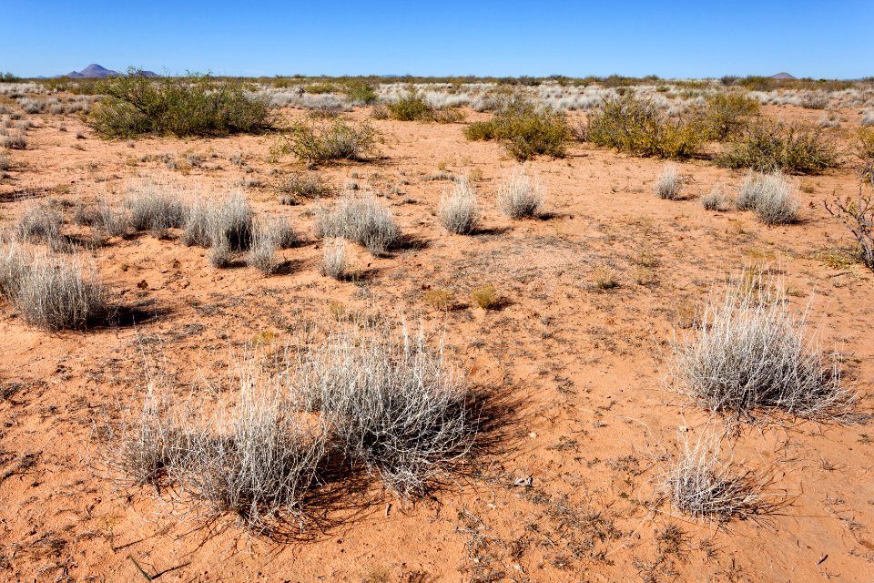 Plains west of Deming