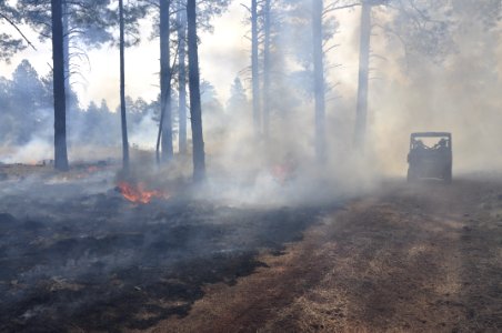Woody Ridge Rx Burn 4-7-16