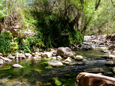Fossil Creek