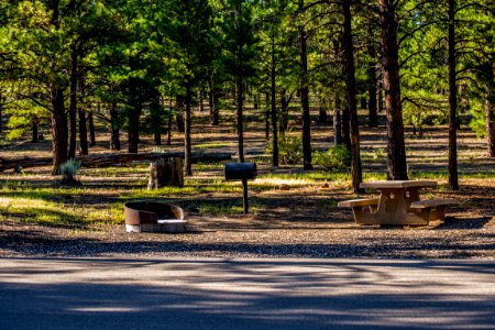 Bonito Campground