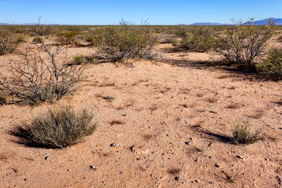 Plains west of Deming